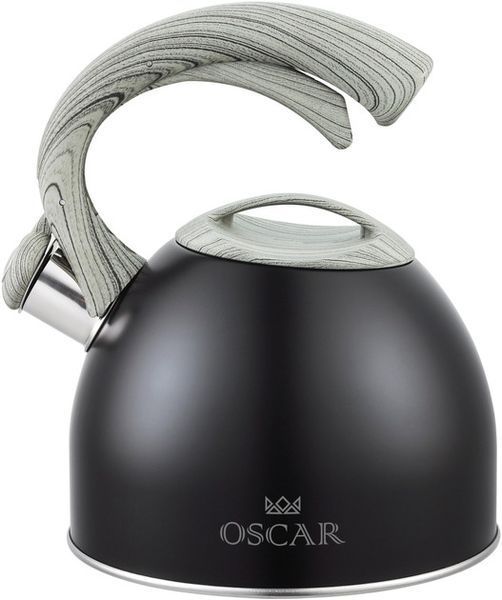 Чайник OSCAR MASTER 2.5 л (OSR-1001) 046850    фото