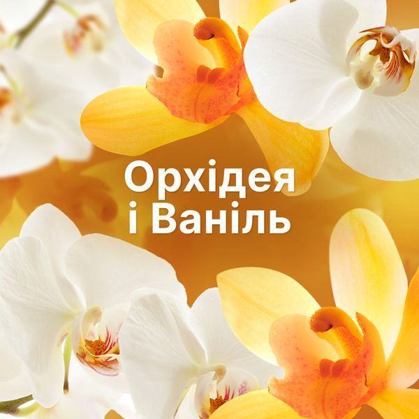 Кондиціонер для білизни Lenor Ванільна орхідея та золотий бурштин 700 мл 047382    фото